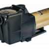 Hayward Pool Products SP2670007X10 1 HP Super Pump 700