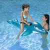 Dolphin Super Jumbo Rider