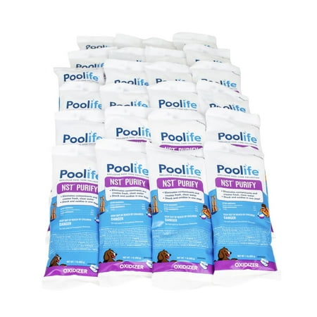 932093747-1 Poolife NST Purify 1 pound bag