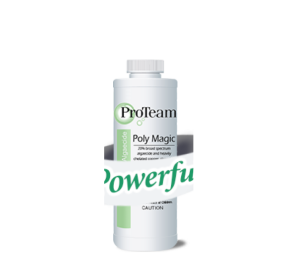Untitled design (11) 1 Qt. Poly Magic Algaecide