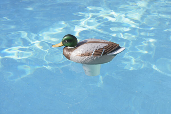 16 Mallard Duck Floating Swimming Pool Chlorine Dispenser