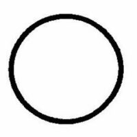 O-RINGPICTURE_53113cd9-a2d8-44a3-8f98-2b84180b0337 Hayward Cover O-ring for Leaf Cannister AXW542 O-330
