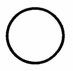 Jandy Flo Pro Lid O-ring R0480200